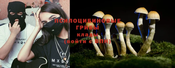 гашик Няндома