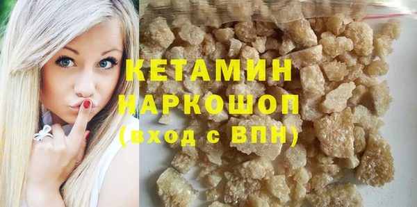 гашик Няндома