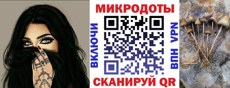 мориарти Telegram  Новохопёрск  Галлюциногенные грибы Psilocybine cubensis  наркота 